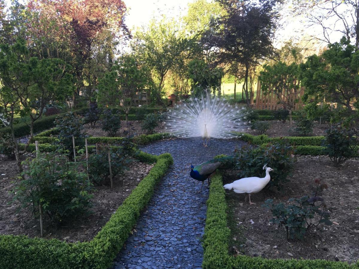 Chateau Mathias Virazeil Εξωτερικό φωτογραφία